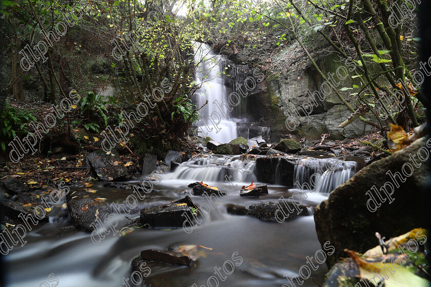 AQ3I9808 
 Keywords: Waterfall, Harmby, Autumn, North Yorkshire, Leyburn