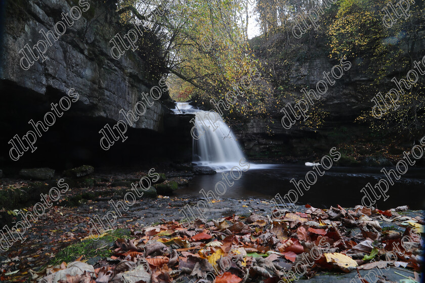 AQ3I9861 
 Keywords: Waterfall, West Burton, Autumn, North Yorkshire, Leyburn