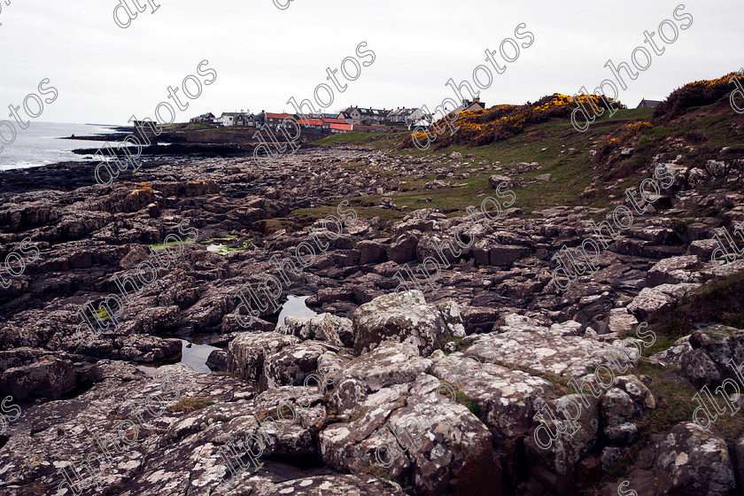 DLPL4816 
 Craster 
 Keywords: Craster