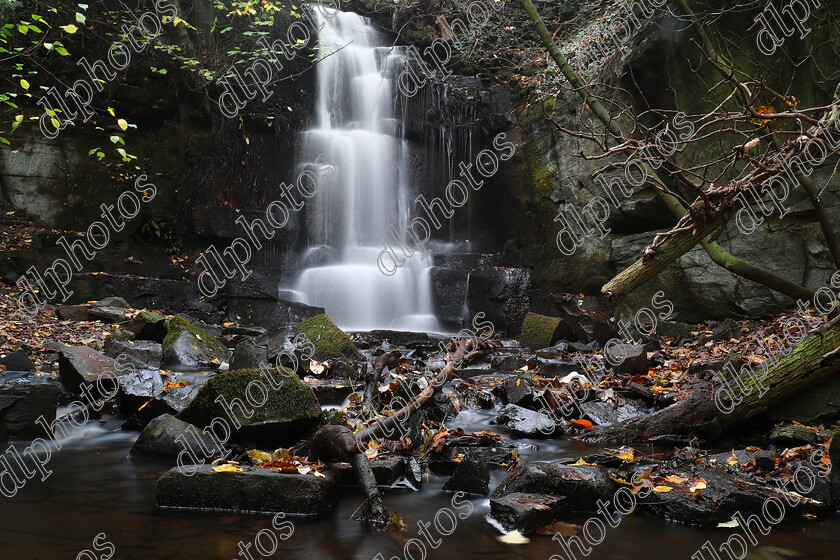 AQ3I9815 
 Keywords: Waterfall, Harmby, Autumn, North Yorkshire, Leyburn