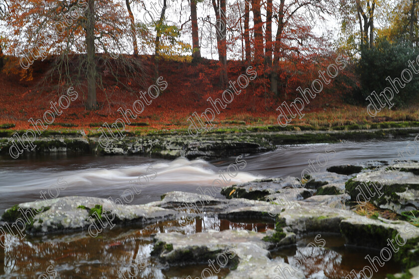 AQ3I9921 
 Keywords: Waterfall, Aysgarth, Autumn, North Yorkshire, Leyburn