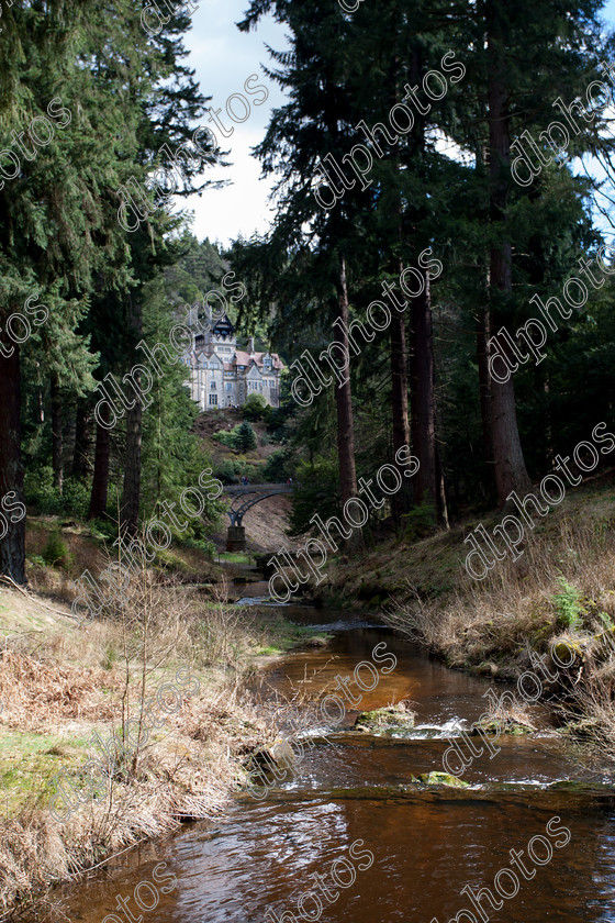 easter2015--118 
 cragside 
 Keywords: cragside