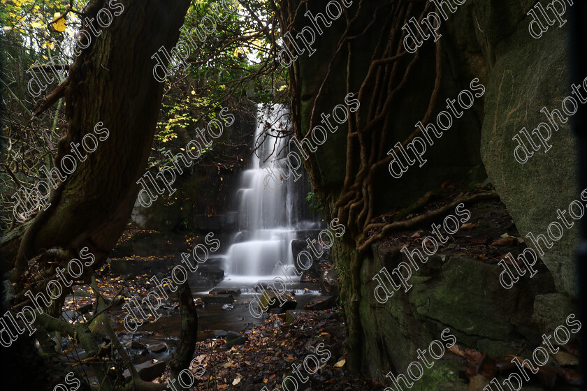 AQ3I9814 
 Keywords: Waterfall, Harmby, Autumn, North Yorkshire, Leyburn