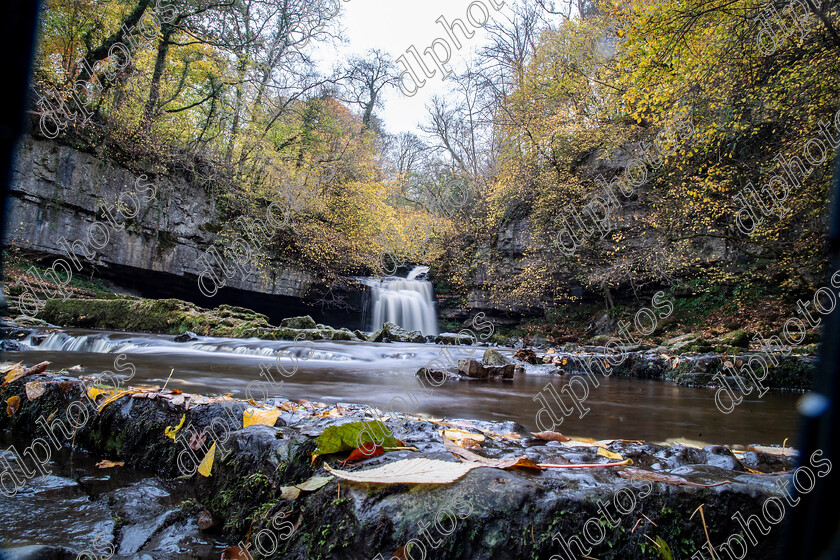 AQ3I9819 
 Keywords: Waterfall, West Burton, Autumn, North Yorkshire, Leyburn