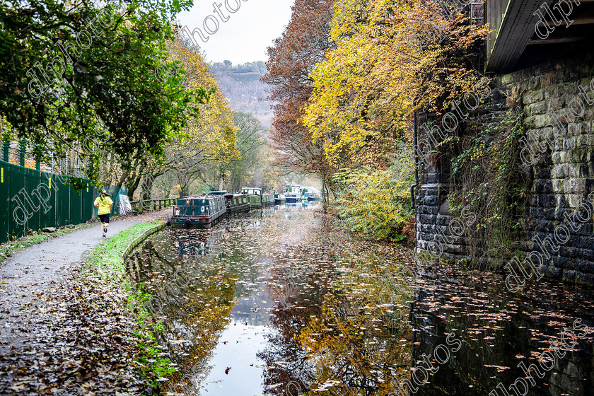 IMG 0016 
 Keywords: Hebden Bridge, Rochdale Canal, Upper Calder Valley, Autumn