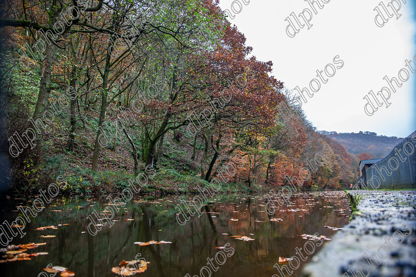 IMG 0013 
 Keywords: Hebden Bridge, Rochdale Canal, Upper Calder Valley, Autumn