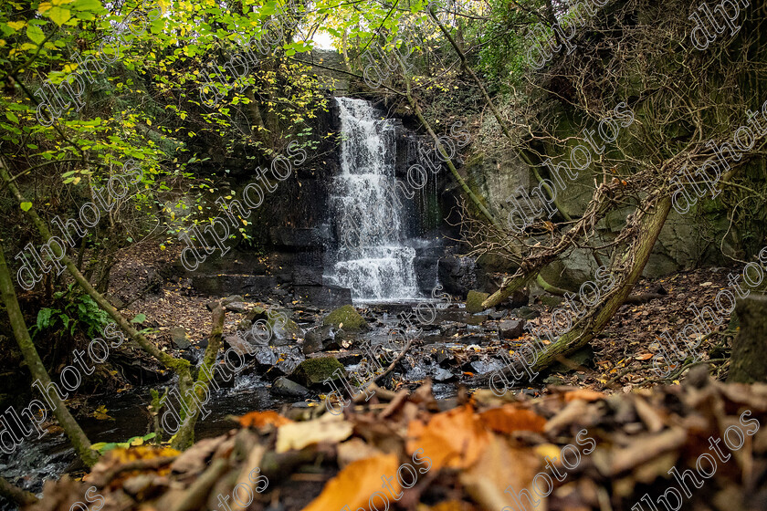 AQ3I9797 
 Keywords: Waterfall, Harmby, Autumn, North Yorkshire, Leyburn