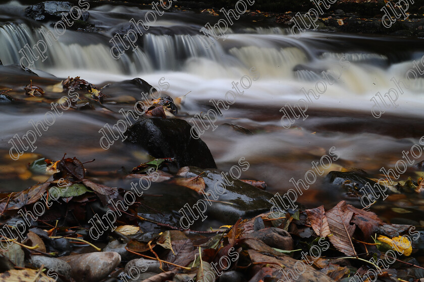 AQ3I9858 
 Keywords: Waterfall, West Burton, Autumn, North Yorkshire, Leyburn