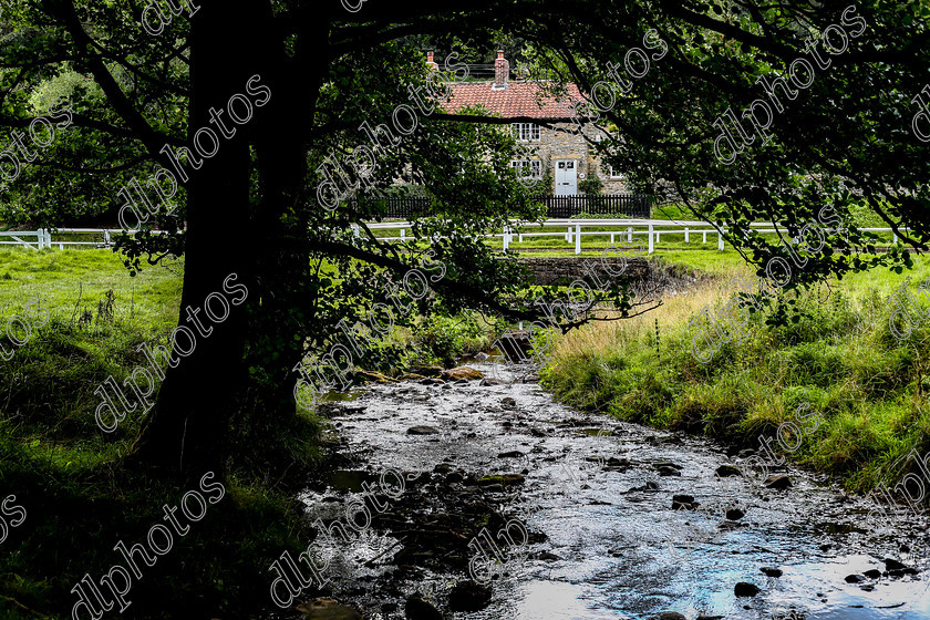 AQ3I9999 
 Hutton Le Hole
North Yorkshire