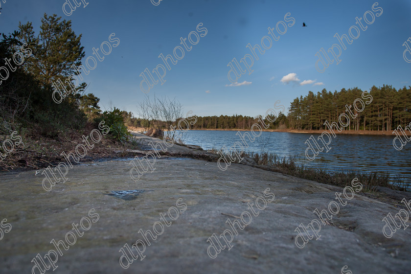 easter2015--274 
 cragside, national trust, lake 
 Keywords: cragside, national trust, lake