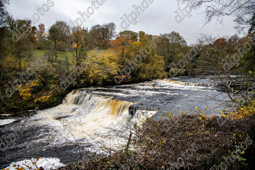 AQ3I9942 
 Keywords: Waterfall, Aysgarth, Autumn, North Yorkshire, Leyburn