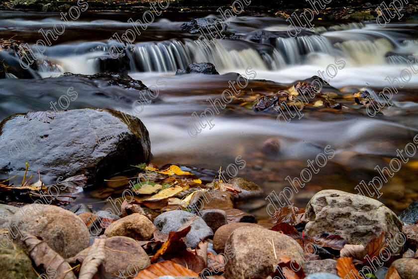 AQ3I9857 
 Keywords: Waterfall, West Burton, Autumn, North Yorkshire, Leyburn