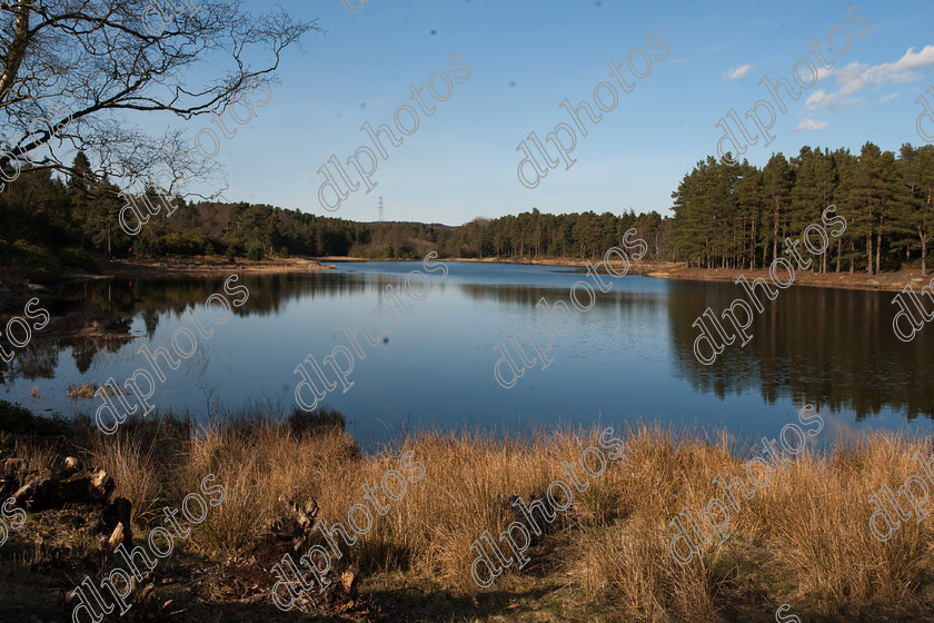 easter2015--262 
 cragside, national trust, lake 
 Keywords: cragside, national trust, lake