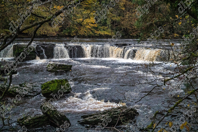 AQ3I9963 
 Keywords: Waterfall, Aysgarth, Autumn, North Yorkshire, Leyburn