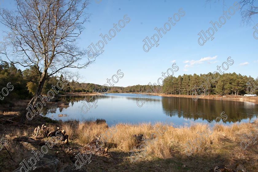 easter2015--264 
 cragside, national trust, lake 
 Keywords: cragside, national trust, lake