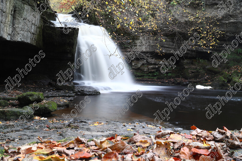 AQ3I9865 
 Keywords: Waterfall, West Burton, Autumn, North Yorkshire, Leyburn