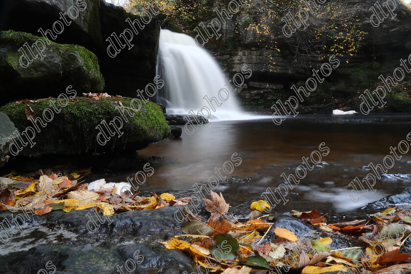 AQ3I9871 
 Keywords: Waterfall, West Burton, Autumn, North Yorkshire, Leyburn