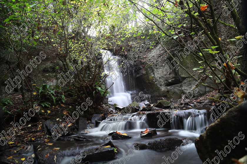 AQ3I9803 
 Keywords: Waterfall, Harmby, Autumn, North Yorkshire, Leyburn