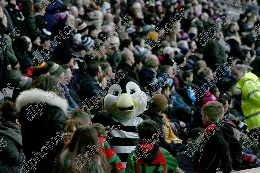 HFC CD13757 
 Hull FC v Catalan Dragons