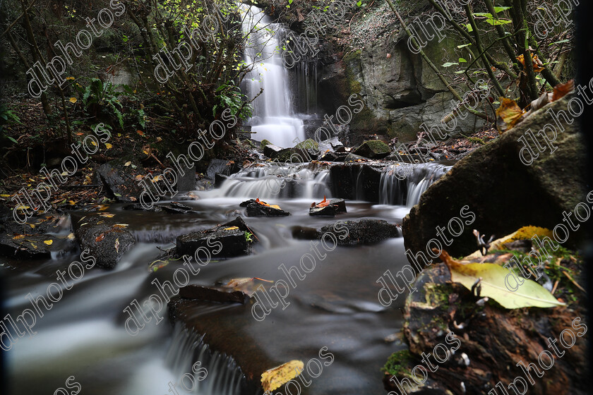 AQ3I9810 
 Keywords: Waterfall, Harmby, Autumn, North Yorkshire, Leyburn