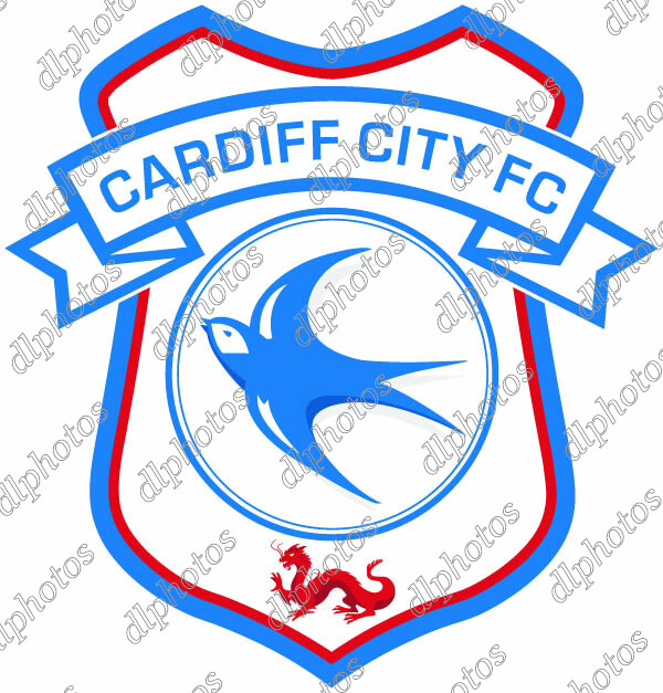 Cardiff-City-copy