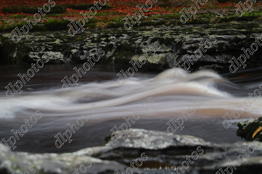 AQ3I9922 
 Keywords: Waterfall, Aysgarth, Autumn, North Yorkshire, Leyburn