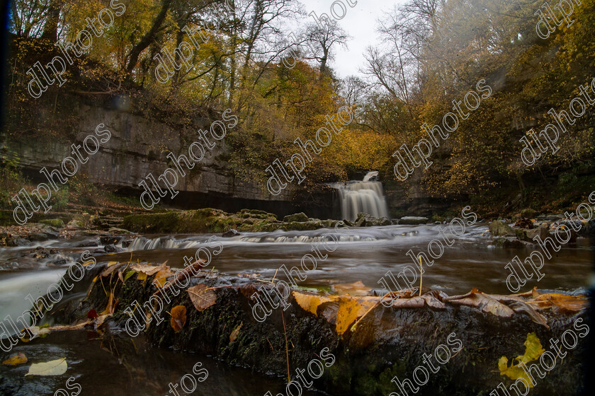 AQ3I9842 
 Keywords: Waterfall, West Burton, Autumn, North Yorkshire, Leyburn