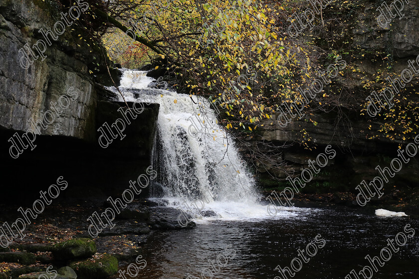 AQ3I9874 
 Keywords: Waterfall, West Burton, Autumn, North Yorkshire, Leyburn