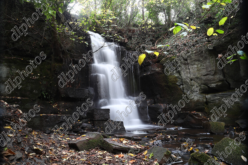 AQ3I9805 
 Keywords: Waterfall, Harmby, Autumn, North Yorkshire, Leyburn