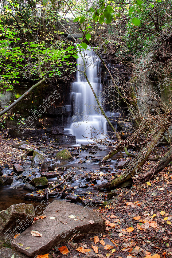 IMG 0145-copy 
 Keywords: Waterfall, Harmby, Autumn, North Yorkshire, Leyburn