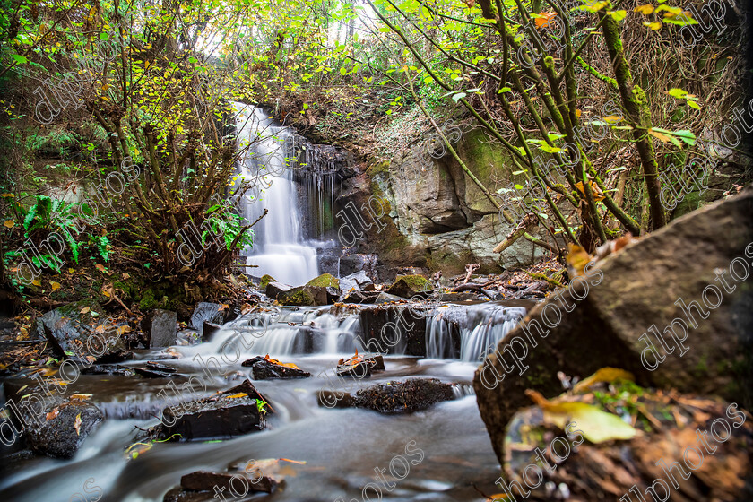 AQ3I9802 
 Keywords: Waterfall, Harmby, Autumn, North Yorkshire, Leyburn