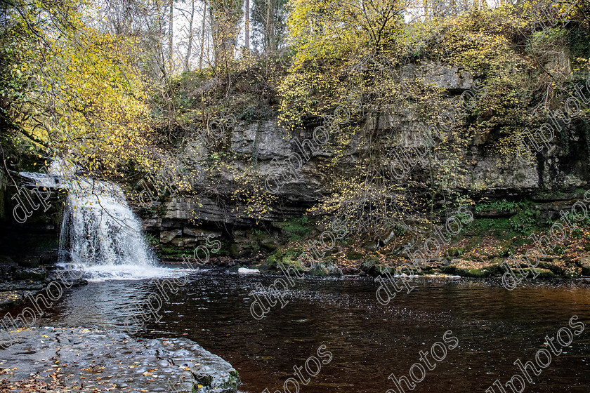 AQ3I9885 
 Keywords: Waterfall, West Burton, Autumn, North Yorkshire, Leyburn