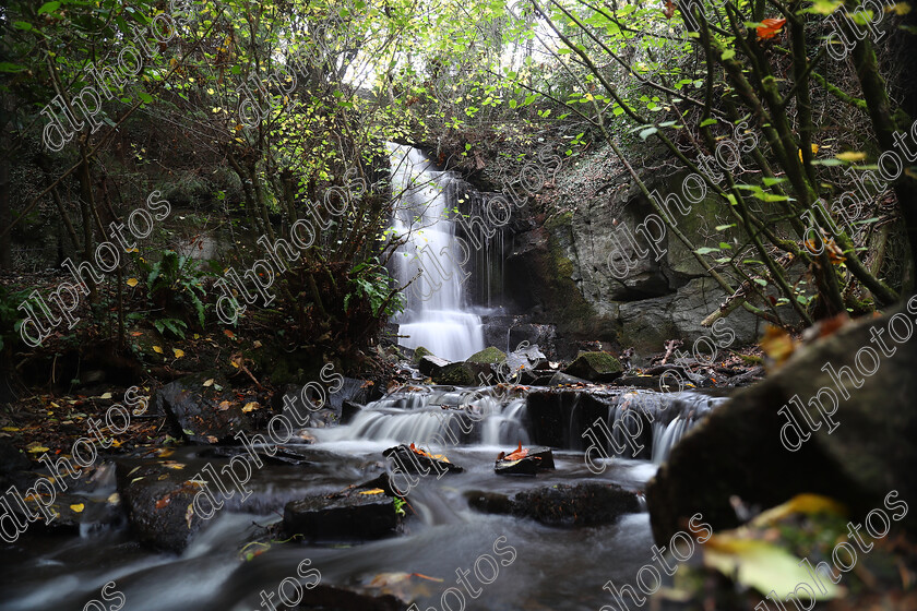 AQ3I9801 
 Keywords: Waterfall, Harmby, Autumn, North Yorkshire, Leyburn