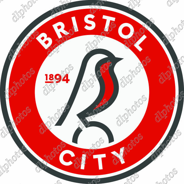 Bristol-City-copy