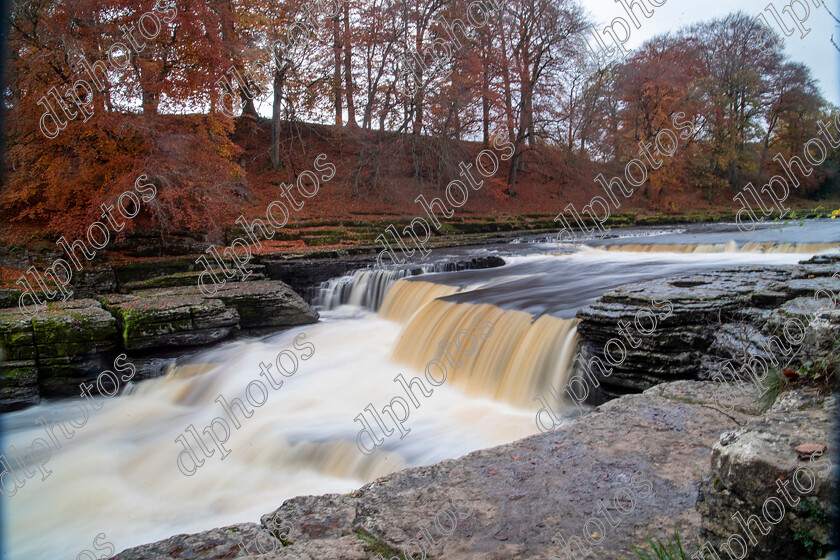 AQ3I9927 
 Keywords: Waterfall, Aysgarth, Autumn, North Yorkshire, Leyburn