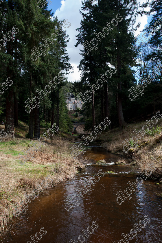 easter2015--116 
 Keywords: cragside