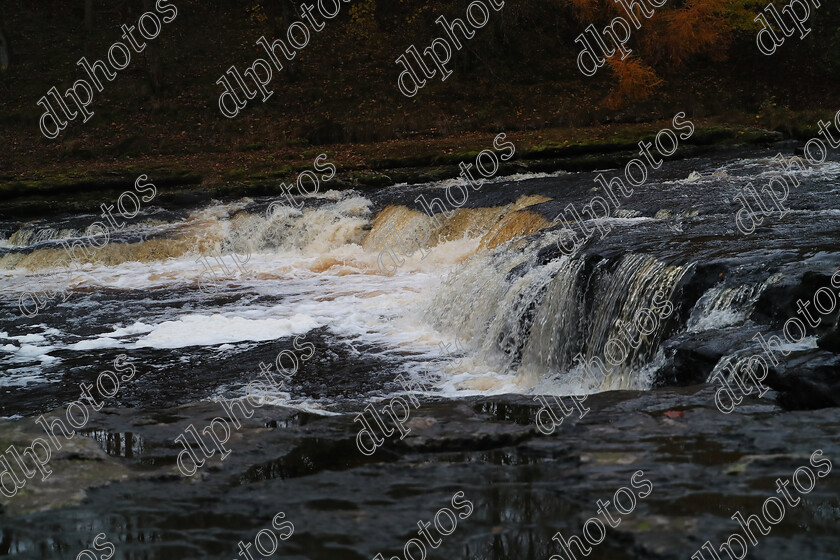 AQ3I9917 
 Keywords: Waterfall, Aysgarth, Autumn, North Yorkshire, Leyburn